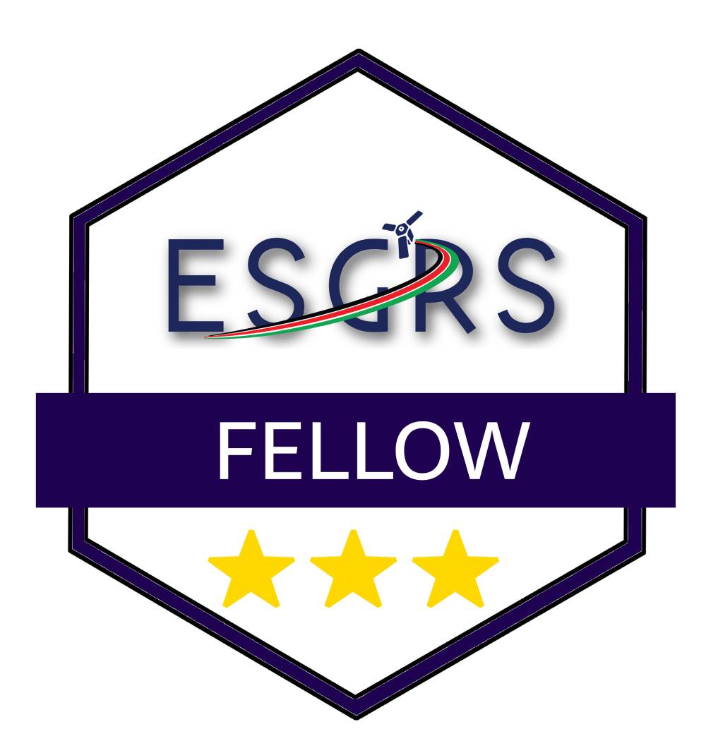 Fellow Badge