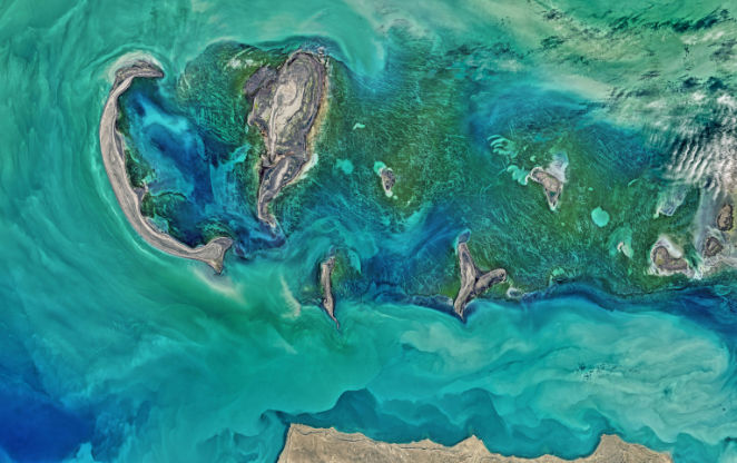Advances in Remote Sensing and Artificial Intelligence in Marine and Coastal Studies