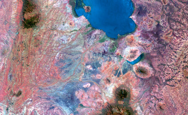 Leveraging AI and Remote Sensing (Optical, Radar, LiDAR, and UAV) to Address Environmental and Ecosystem Challenges