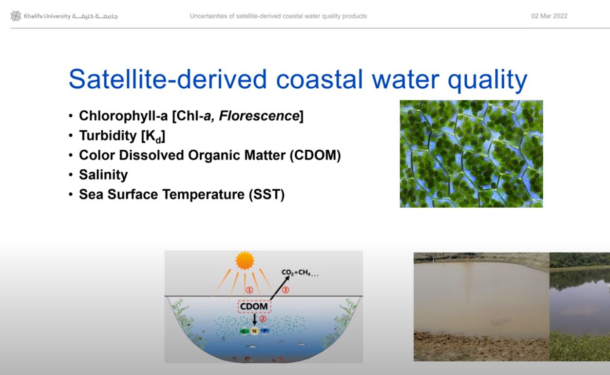 Uncertainties of Satellite-Derived Coastal Water Quality Products