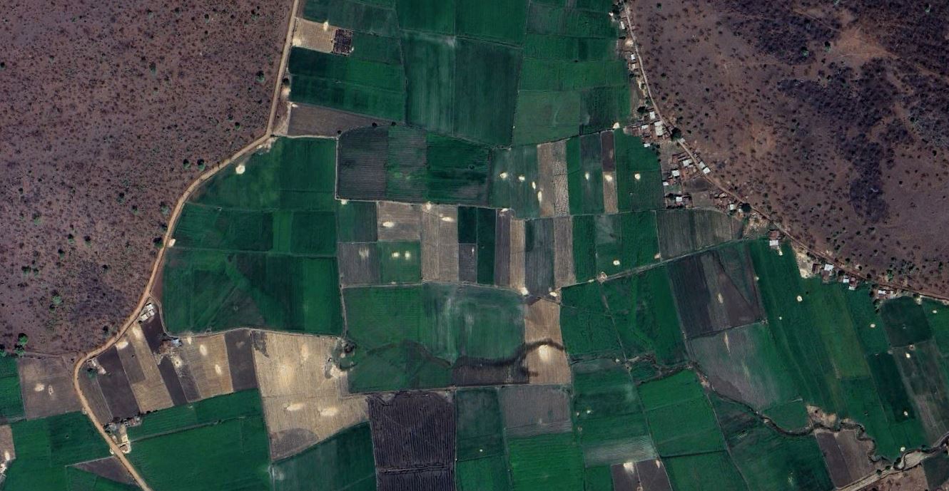 Remote Sensing to Understand Crop Health for Precision Agriculture