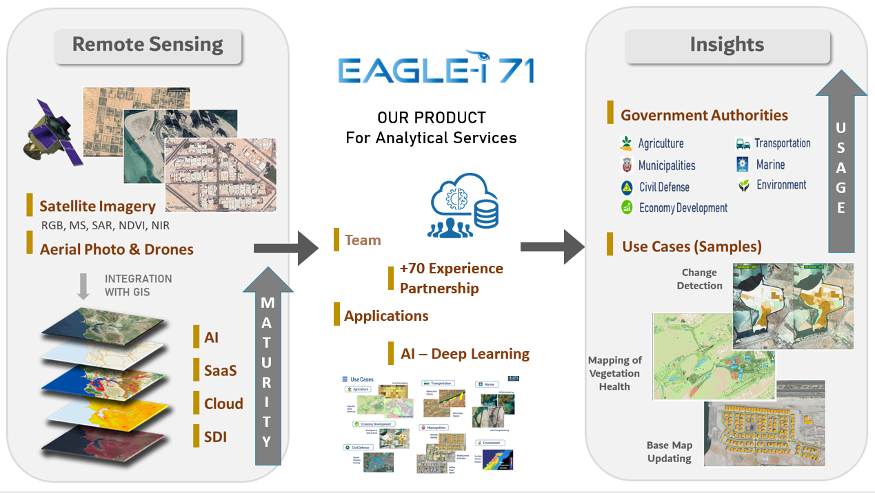 Use Cases of GIS and Remote Sensing Projects: from Concepts to Applications