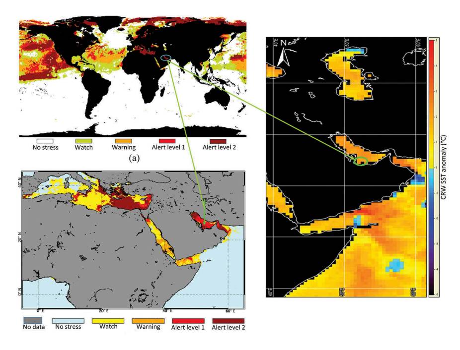 Contribution of GIS and remote sensing technologies to an integrated coastal and marine environmental management framework