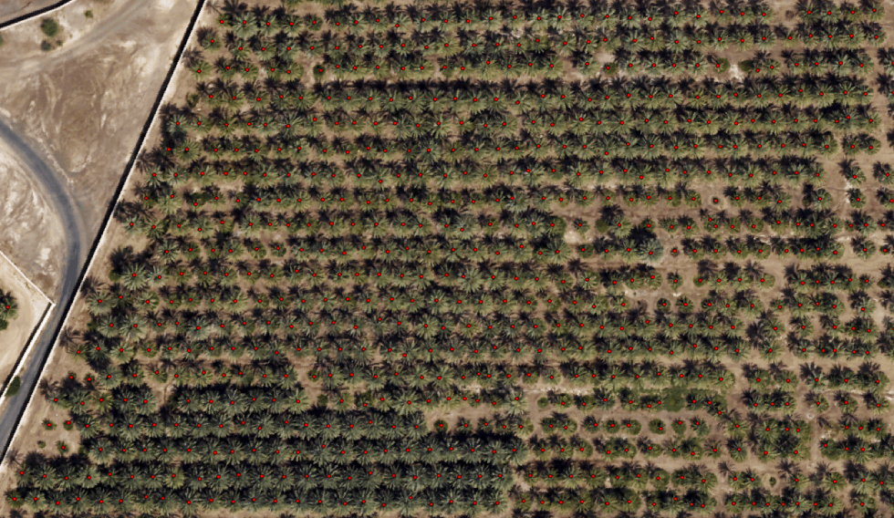 MBRSC's Palm Trees Detection Workshop