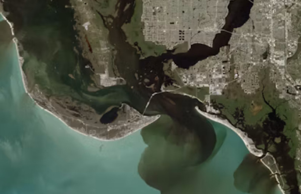 Advancing Coastal Hazard Monitoring, Modelling, and Resilience Assessment from Space