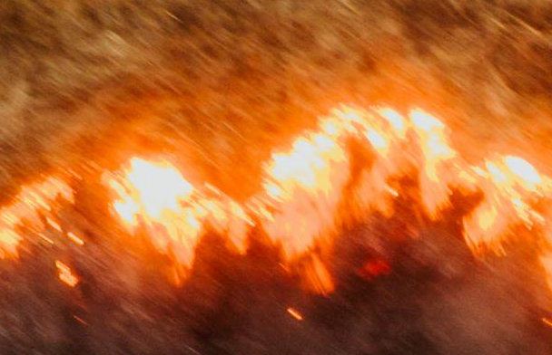 Earth Observation for Disaster Intelligence: From Satellite Data to Rapid Response