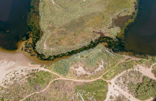 <h2>Drone mapping: at the crossroad of remote sensing, artificial intelligence and big data analytic</h2>